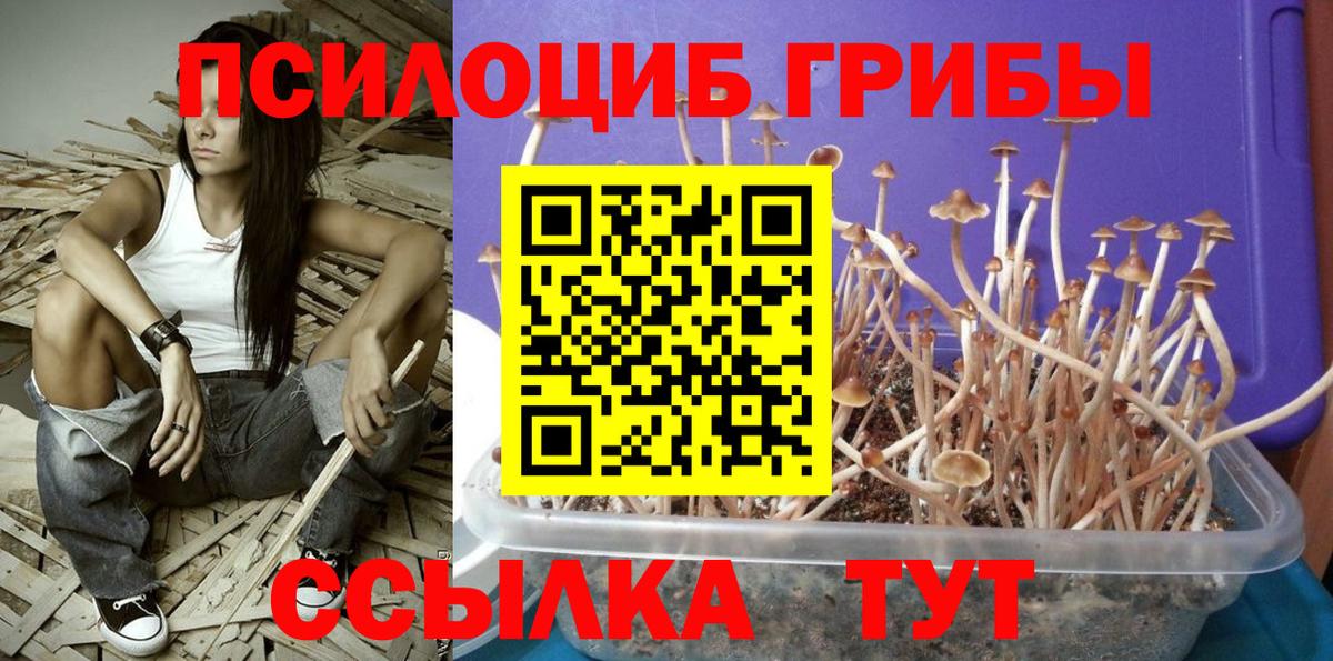 МЕФ   ТГК  COCAIN  Cocaine  Вход с VPN  ГАШИШ  Горно-Алтайск  МЕТАМФЕТАМИН  Конопля 