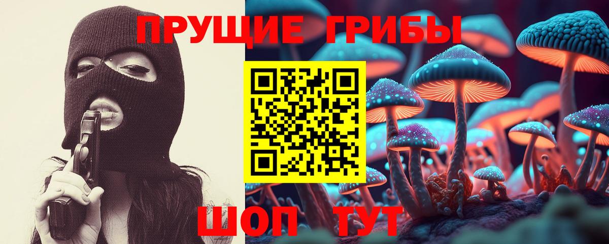 Галлюциногенные грибы прущие грибы Горно-Алтайск